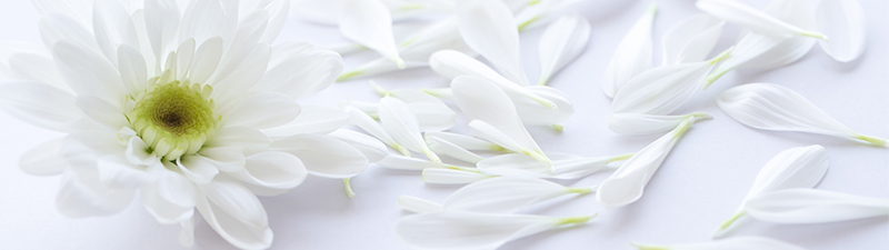 ネットプリント